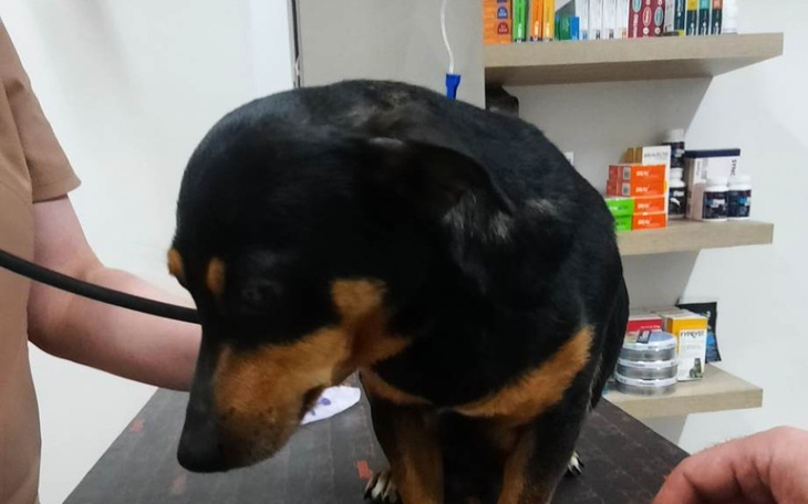 Zbiórka Z ciemnej komórki po nowe życie - zdjęcie główne