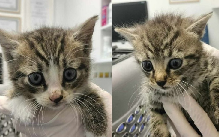 Zbiórka Kolejne maleństwa na pokładzie - zdjęcie główne