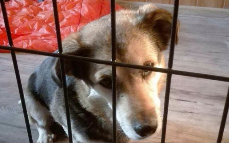 Zbiórka Znaleźć nowe źycie - zdjęcie główne