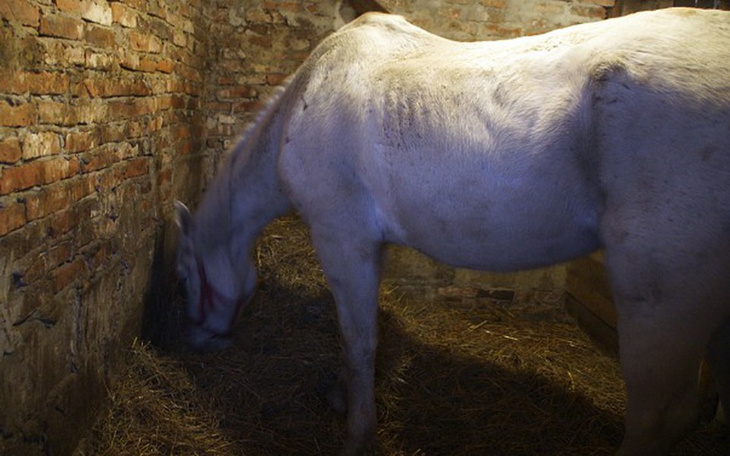 Zbiórka Starość i choroba w jednym ciele - zdjęcie główne