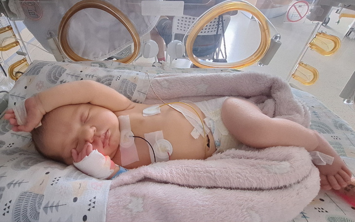 Zbiórka Julia Wróblewska - Mamy serce - zdjęcie główne