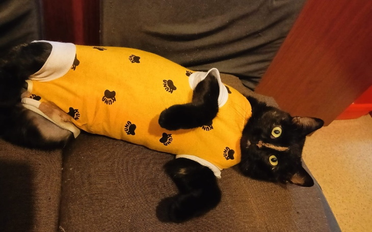 Zbiórka Na leczenie Miki - zdjęcie główne