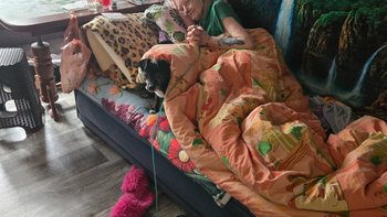 Zbiórka Mama raka i walcze dla zwierząt - miniaturka zdjęcia