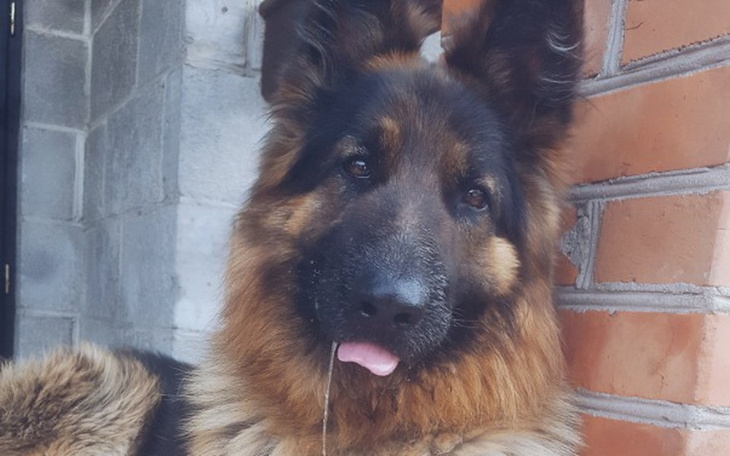 Zbiórka Operacja pyszczka - zdjęcie główne