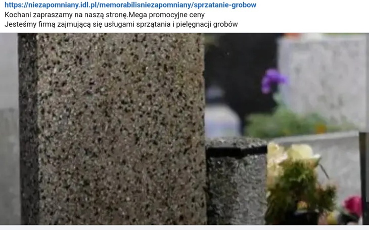 Zbiórka Cmentarz dla pupili - zdjęcie główne