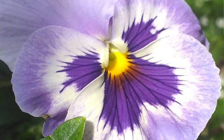 Zbiórka Oby było lepiej - zdjęcie główne