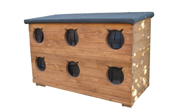 Zbiórka Na budki zimowe dla kotów - zdjęcie główne