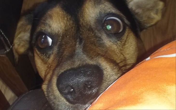 Zbiórka Spłata lojalnościówki i odejscie - zdjęcie główne