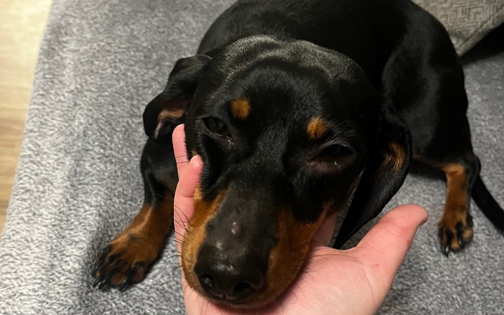 Zbiórka Na ratowanie serduszka Leosi - zdjęcie główne