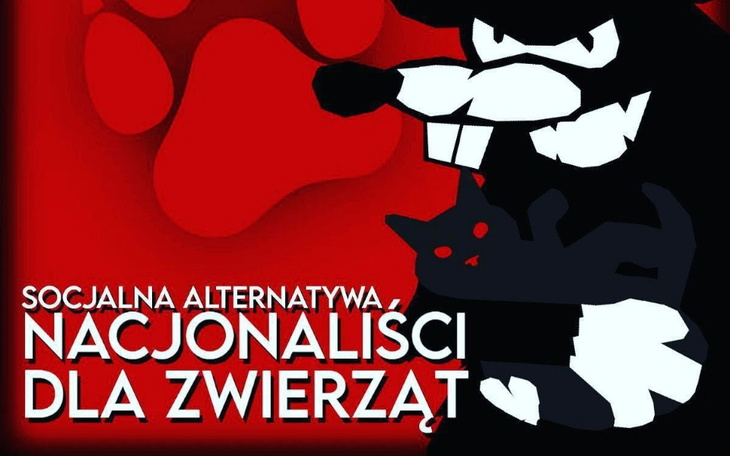 Zbiórka Wiosenna pomoc zwierzętom - zdjęcie główne