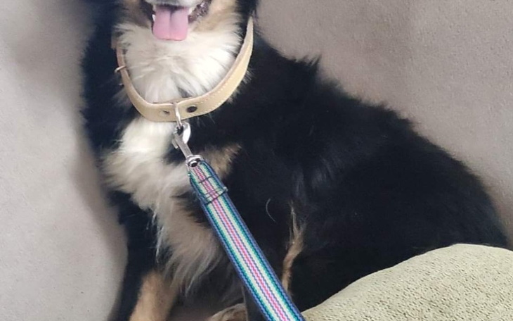 Zbiórka Resocjalizacja Farta - zdjęcie główne