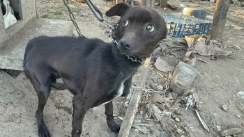 Zbiórka - 12 stopni. One nie przeżyją. - miniaturka zdjęcia