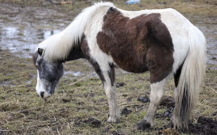 Zbiórka Ślepa, stara = niepotrzebna? - zdjęcie główne