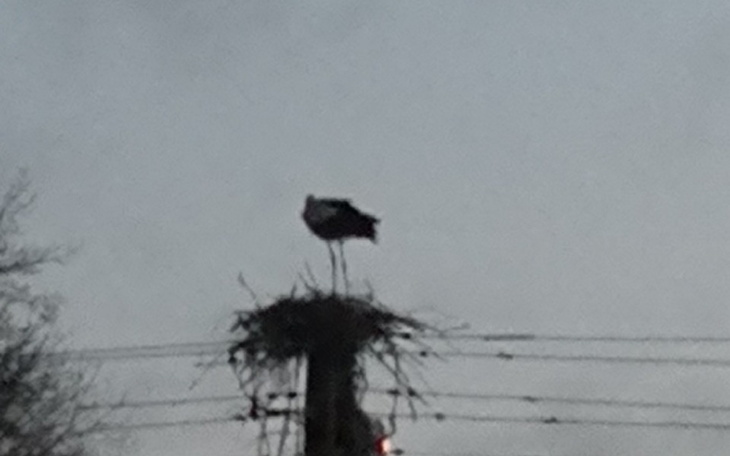 Zbiórka Potrzebna pomoc błagam - zdjęcie główne