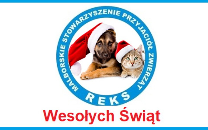 Zbiórka Zostań naszym Świętym Mikołajem - zdjęcie główne