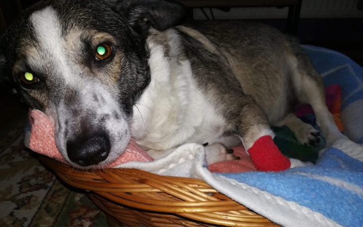 Zbiórka Pomoc Dla Riko, czasu corazmniej - zdjęcie główne