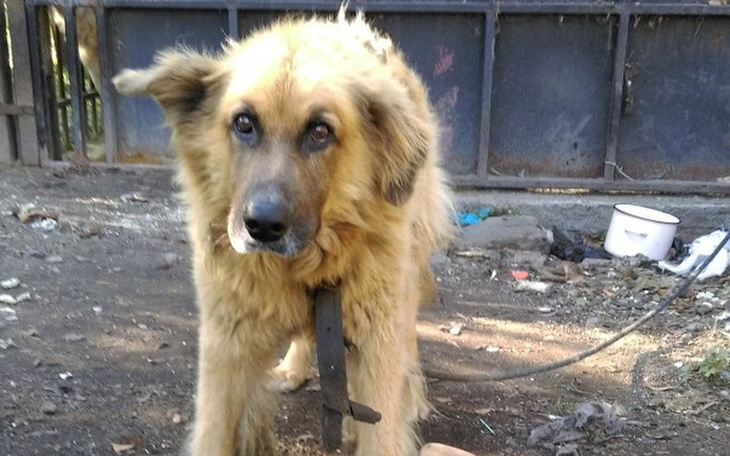 Zbiórka Maks miał umrzeć jak najszybciej - zdjęcie główne