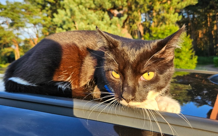 Zbiórka Chciałbym zmienić swoje zachowan - zdjęcie główne