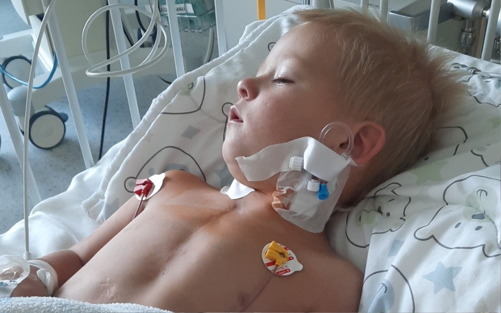 Zbiórka Hugo z HLHS - zdjęcie główne