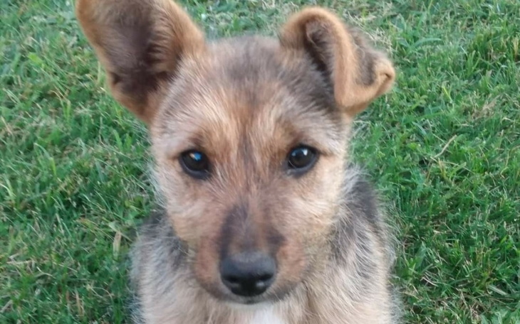 Zbiórka Na mój nowy koputer prosze pomus - zdjęcie główne