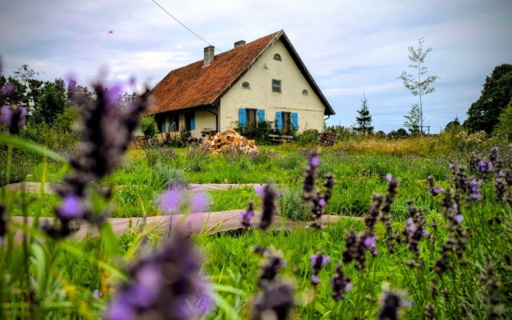 Malowniczy dom otoczony kwiatami i zielenią.
