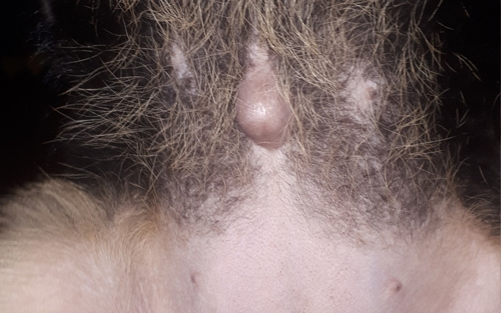 Zbiórka Operacja dla chorego pieska - zdjęcie główne