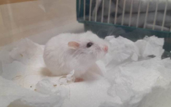 Zbiórka Leczenie marzec-kwiecień - zdjęcie główne