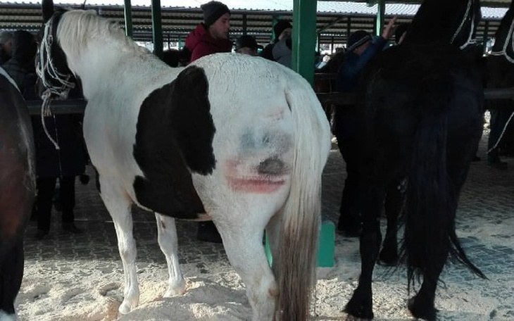 Zbiórka Wykup ze Skaryszewskiego piekła - zdjęcie główne