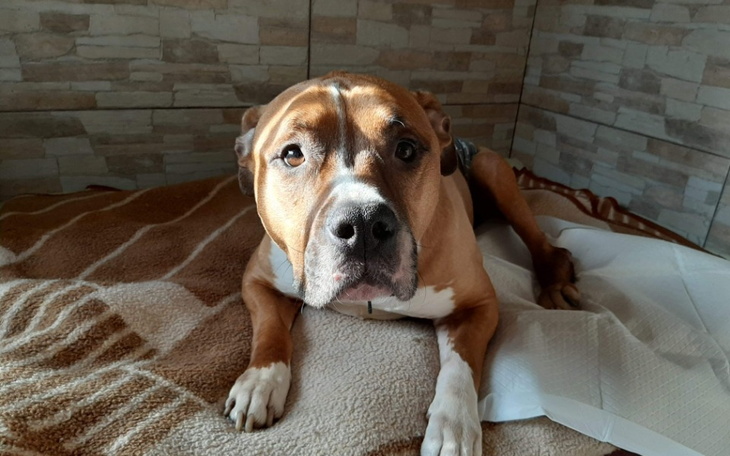 Zbiórka Na rezonans dla Luckiego - zdjęcie główne