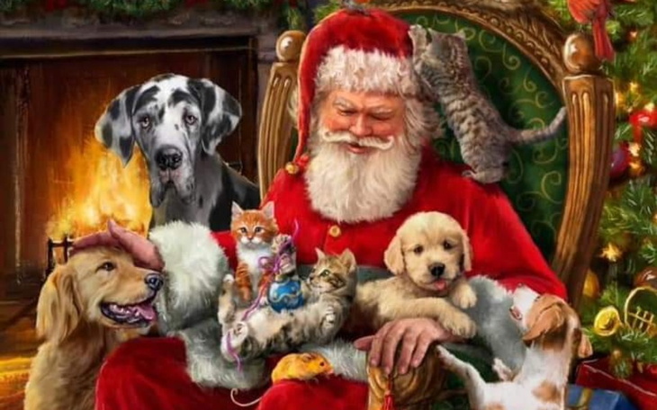 Zbiórka Zwierzęta też czekają na prezent - zdjęcie główne