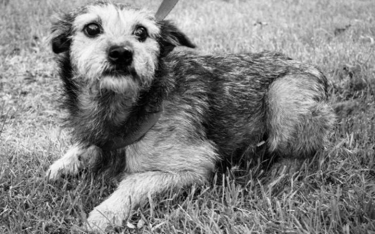 Zbiórka Marcelek nie żyje - zdjęcie główne