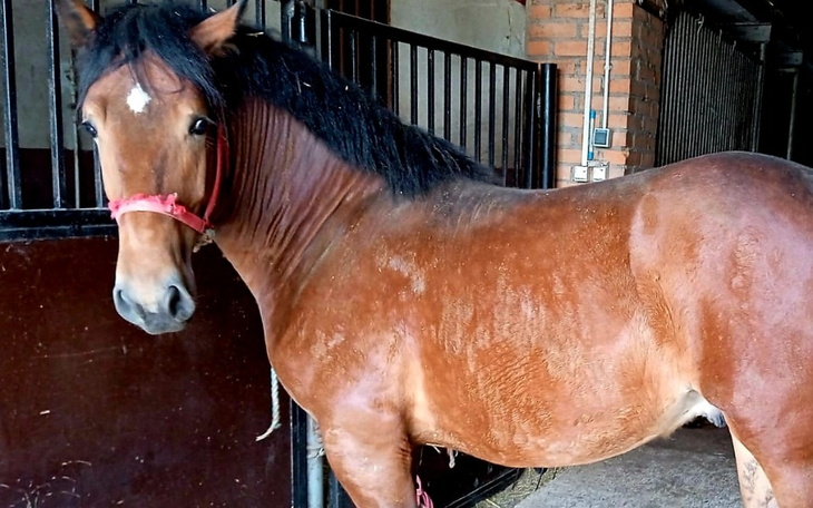 Zbiórka Trzy życia jeden kierunek - rzeź - zdjęcie główne