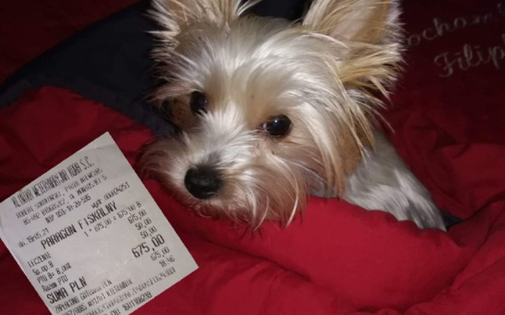 Zbiórka Na leczenie Lusi - zdjęcie główne