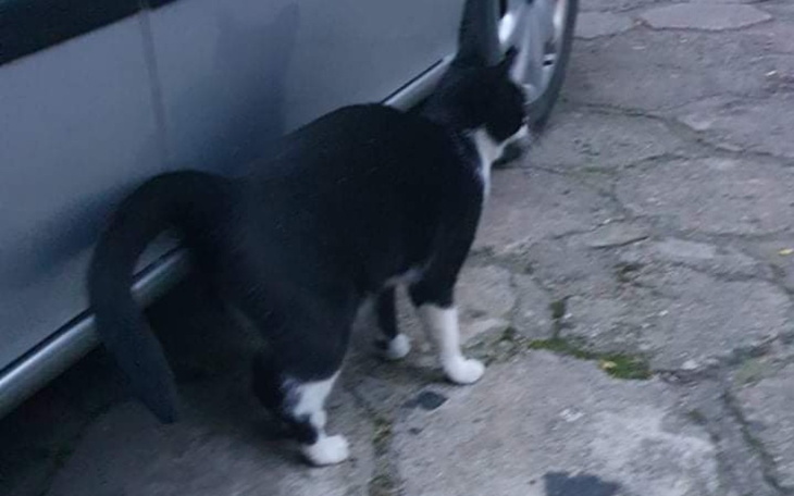 Zbiórka Nie odwracaj wzroku - zdjęcie główne