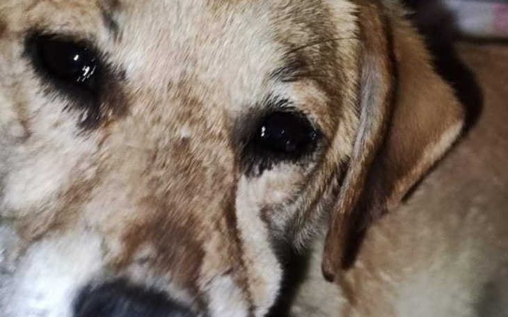 Zbiórka Nie pomożesz. Pominiesz - zdjęcie główne