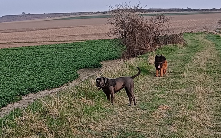 Zbiórka Zbiórka na spełnienie marzeń... - zdjęcie główne
