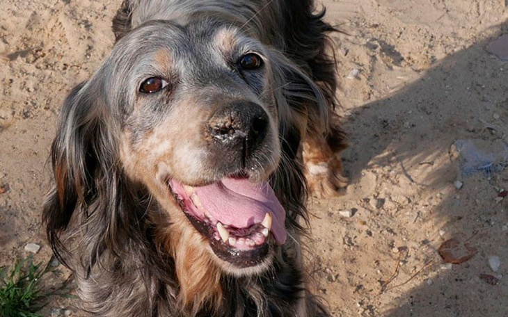 Zbiórka Mysza odeszła za TM - zdjęcie główne