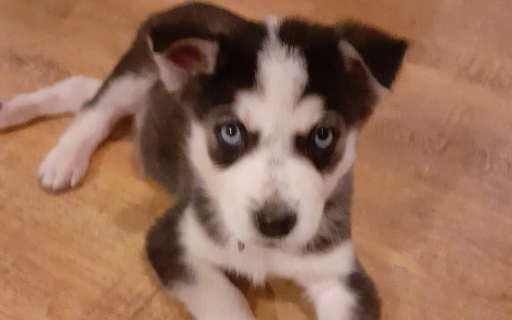 Zbiórka Pierwszy rok Venoma - zdjęcie główne