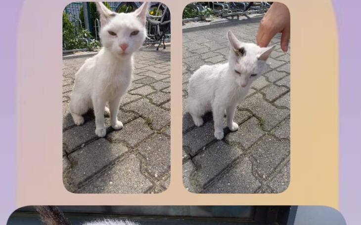 Zbiórka Otynkowanie i ocieplenie domu - zdjęcie główne