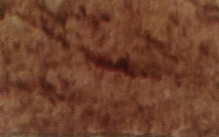 Zbiórka Na życie poprostu kochani - zdjęcie główne