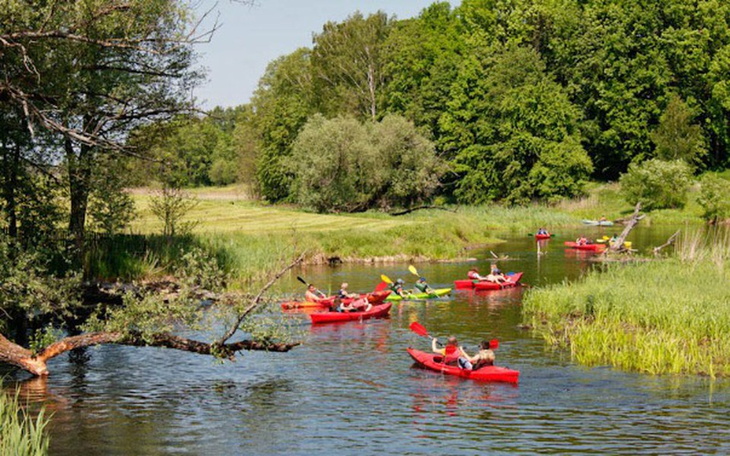 Zbiórka Ognisko i kajaki dla rodzin - zdjęcie główne