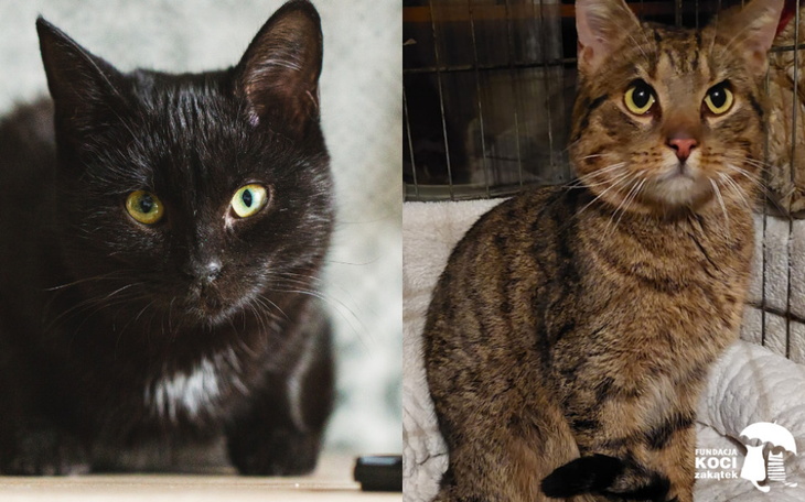 Zbiórka Eti i Tymek walczą o życie - zdjęcie główne