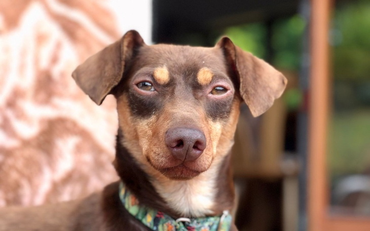 Zbiórka Zbiórka dla Tomka. - zdjęcie główne