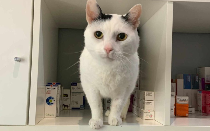 Zbiórka Wlewy dla Rodzia - zdjęcie główne