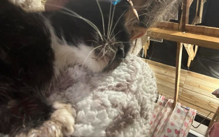 Zbiórka Bym znów zaznała piękno życia... - zdjęcie główne