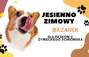 Zbiórka Jesienno Zimowy Bazarek dla psów - miniaturka zdjęcia