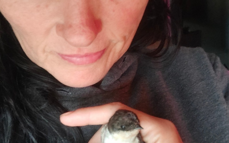 Zbiórka Powódź2024Polska - zdjęcie główne