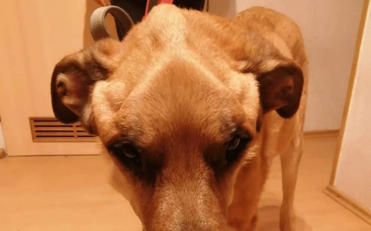 Zbiórka Spełniajmy marzenia dziecka - zdjęcie główne