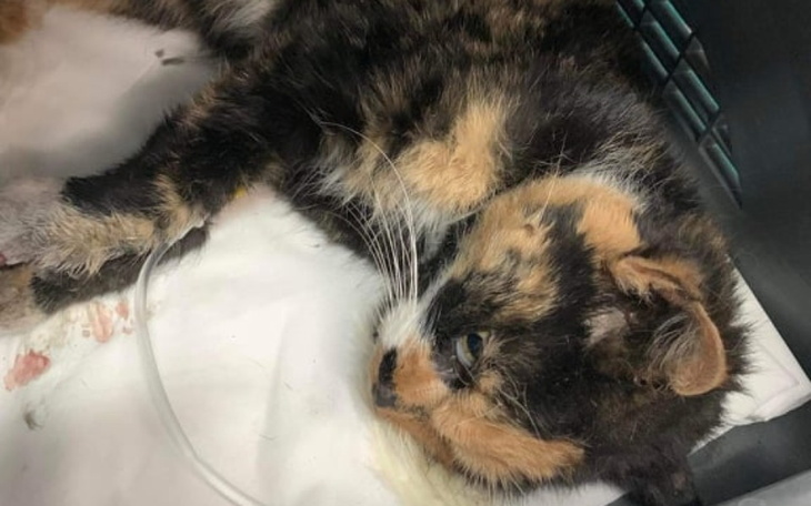 Zbiórka Drugie życie w prezencie - zdjęcie główne