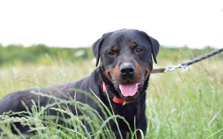 Zbiórka Na opłacenie FV za hotel Binga - zdjęcie główne